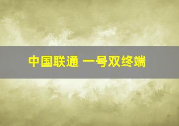 中国联通 一号双终端